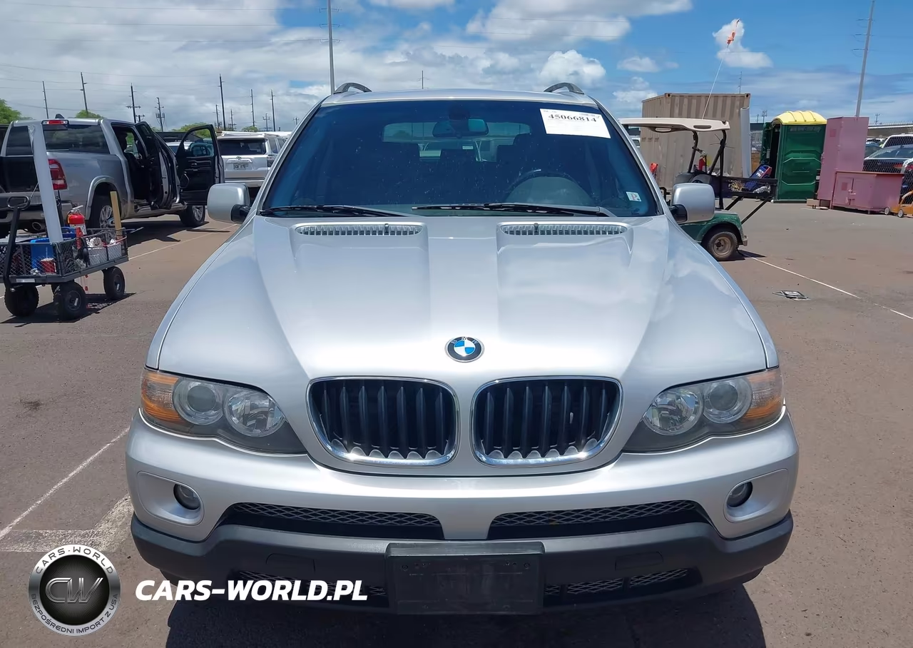 2006 BMW X5 3.0I VIN:5UXFA13546LF99028 - 6