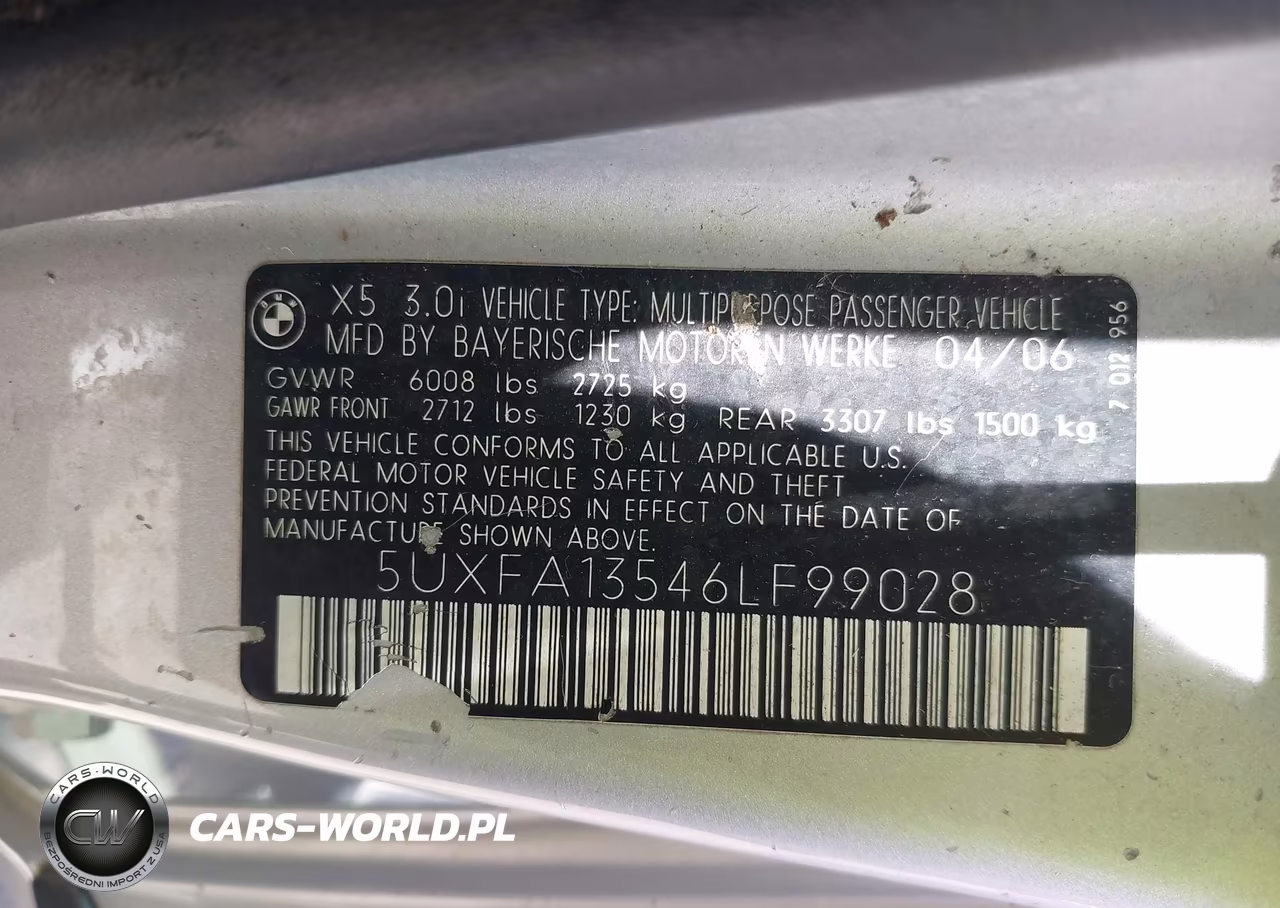2006 BMW X5 3.0I VIN:5UXFA13546LF99028 - 9