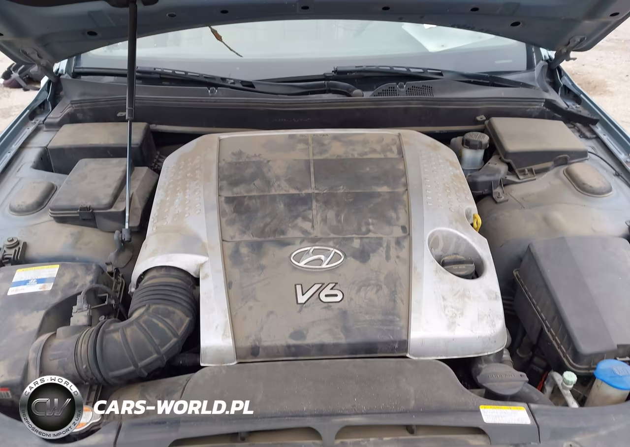 2011 Hyundai Genesis 3.8 VIN:KMHGC4DEXBU127686 - 10