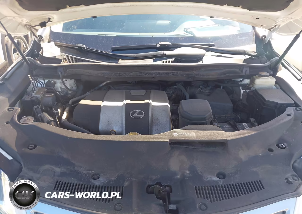 2016 Lexus Rx 350 VIN:2T2BZMCA9GC024089 - 10