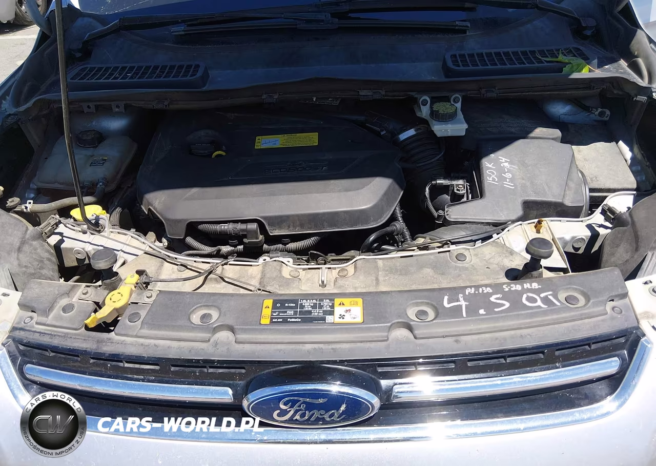2013 Ford Escape Sel VIN:1FMCU0HX6DUC19879 - 10