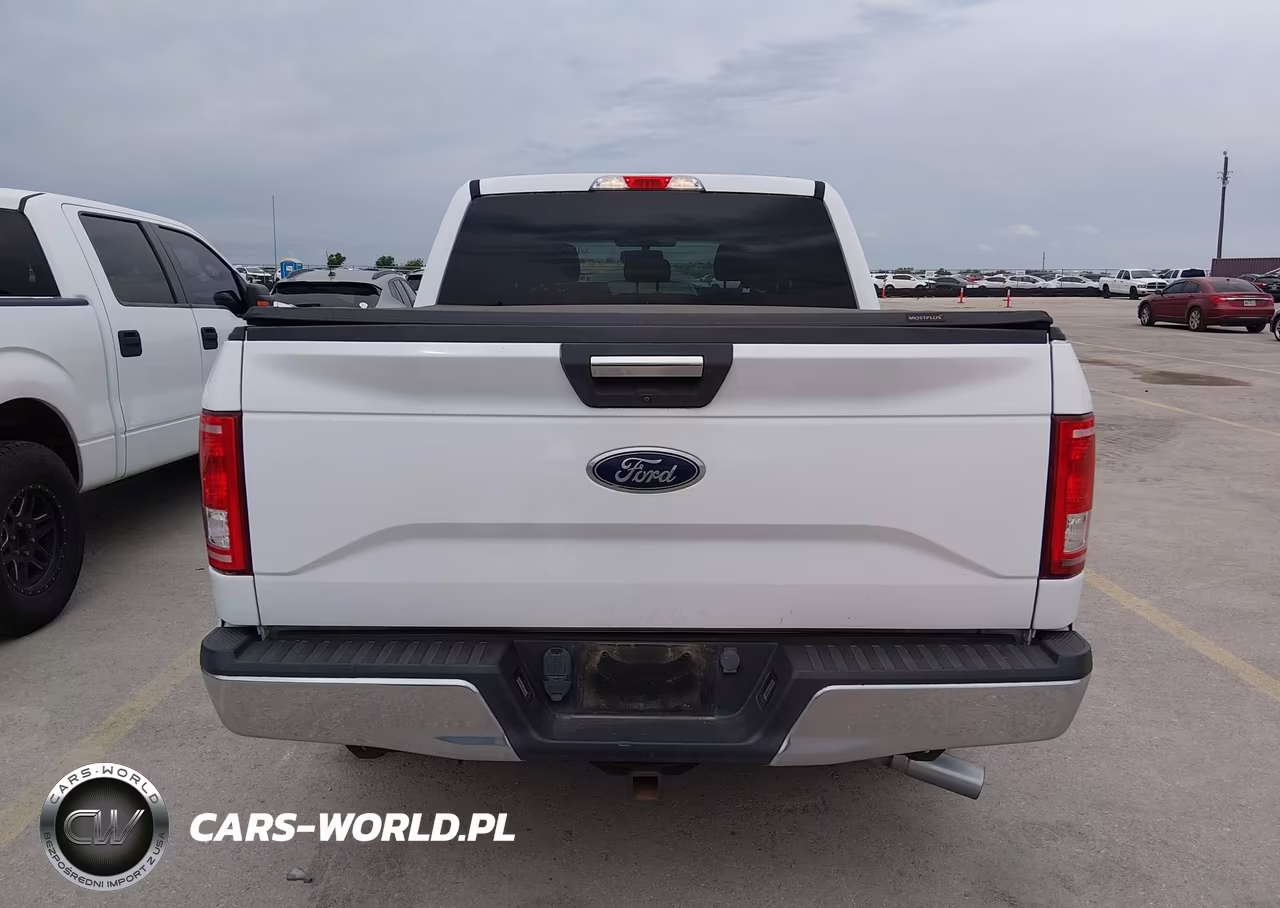 2016 Ford F-150 Xlt VIN:1FTEW1CP9GKD64130 - 16