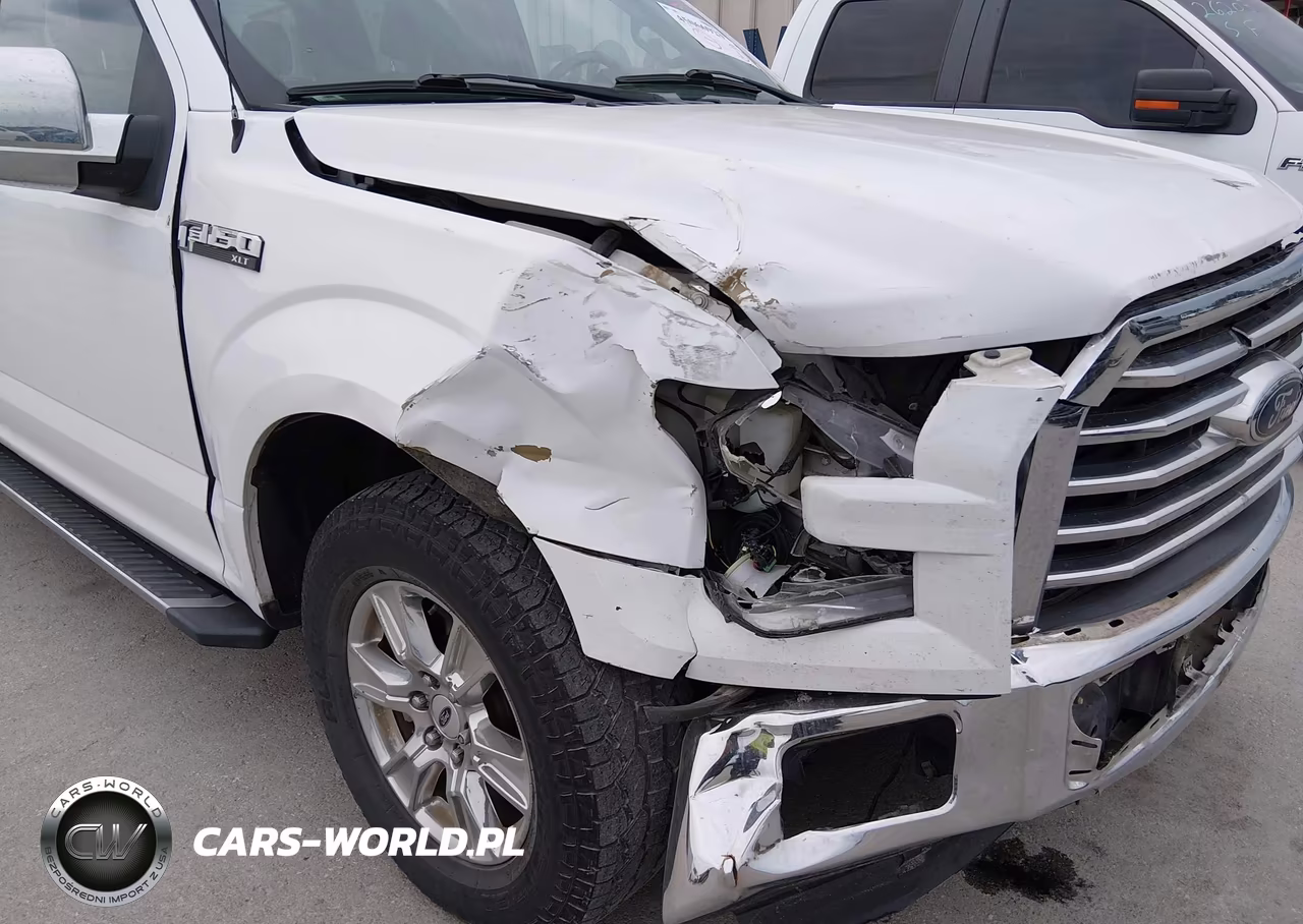 2016 Ford F-150 Xlt VIN:1FTEW1CP9GKD64130 - 17