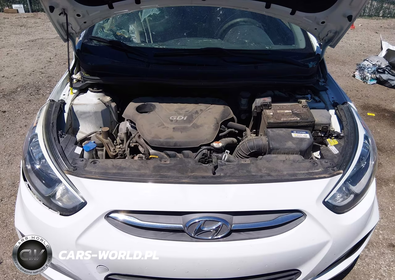 2017 Hyundai Accent Se VIN:KMHCT5AE9HU307601 - 10