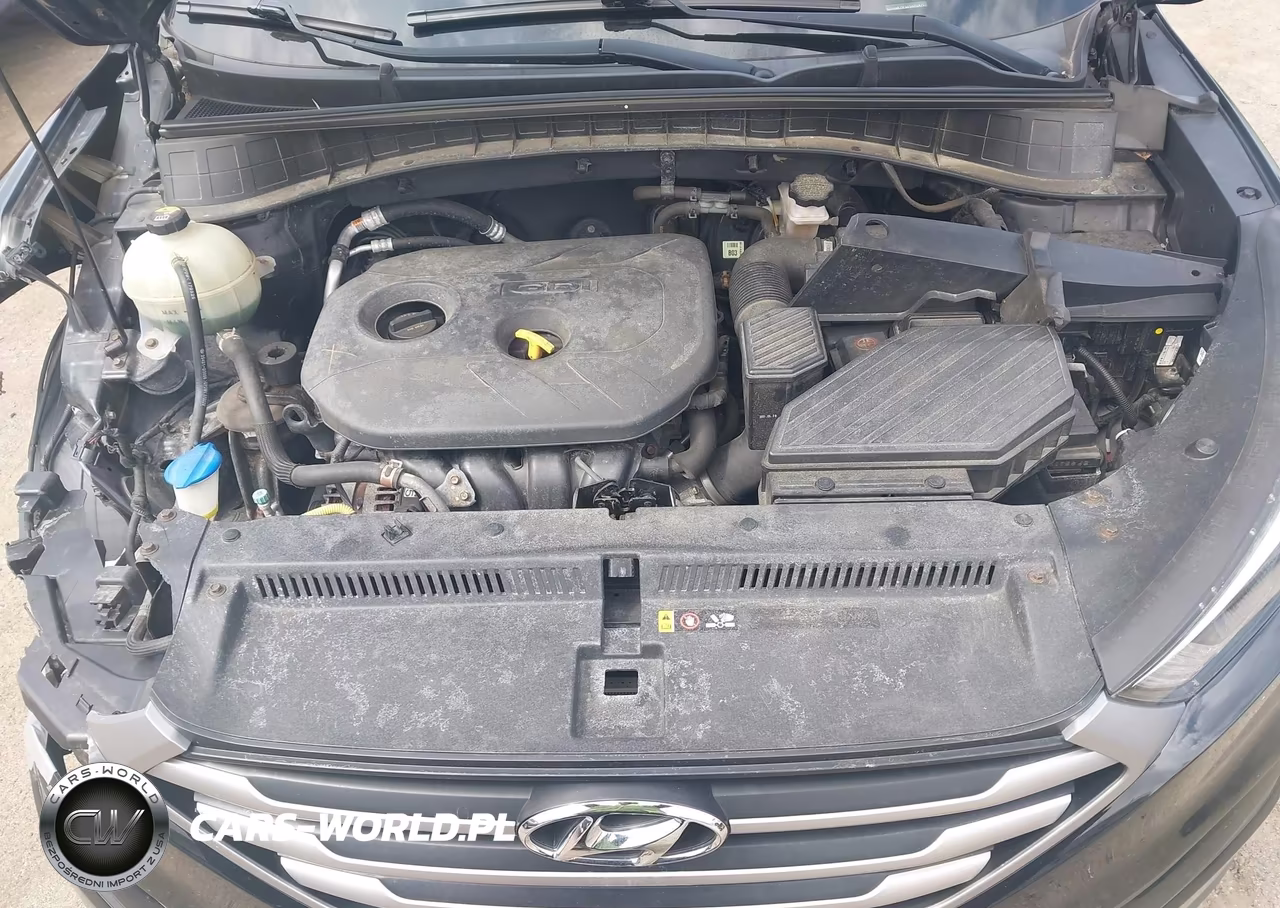 2017 Hyundai Tucson Se VIN:KM8J3CA41HU524711 - 10