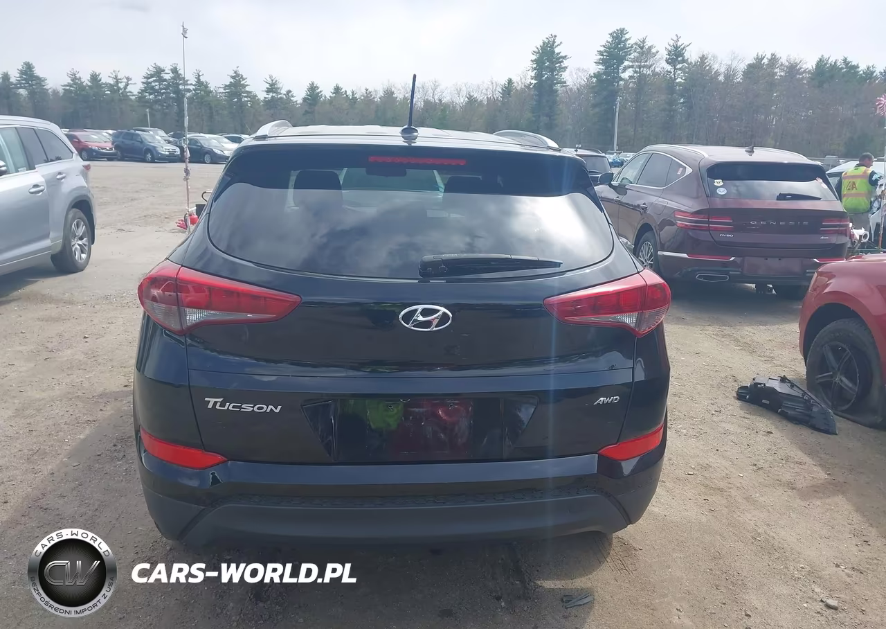 2017 Hyundai Tucson Se VIN:KM8J3CA41HU524711 - 17
