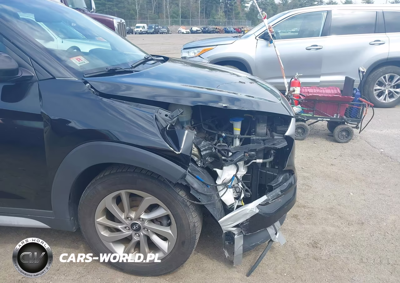 2017 Hyundai Tucson Se VIN:KM8J3CA41HU524711 - 18
