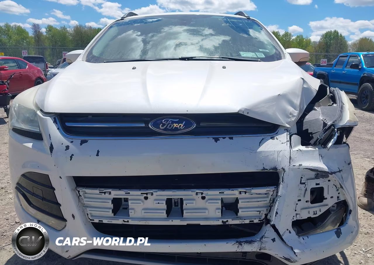 2013 Ford Escape Sel VIN:1FMCU9HX4DUB13757 - 12