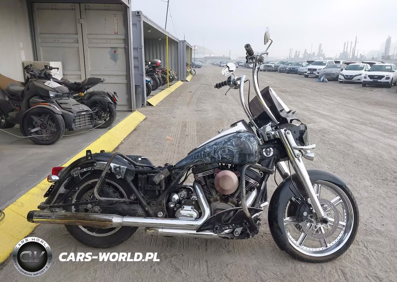 2009 Harley-Davidson Flhr VIN:1HD1FB4339Y600818 - 13
