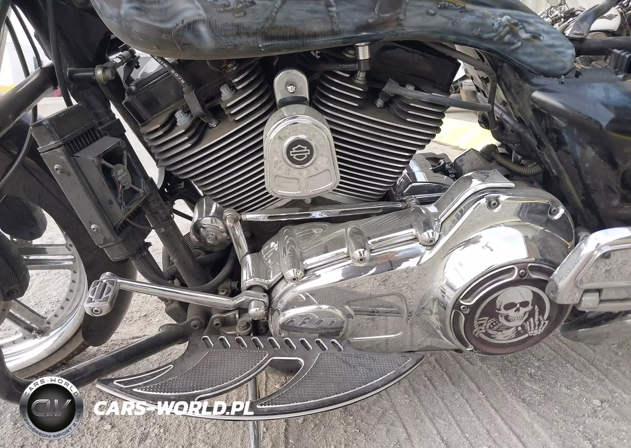 2009 Harley-Davidson Flhr VIN:1HD1FB4339Y600818 - 9