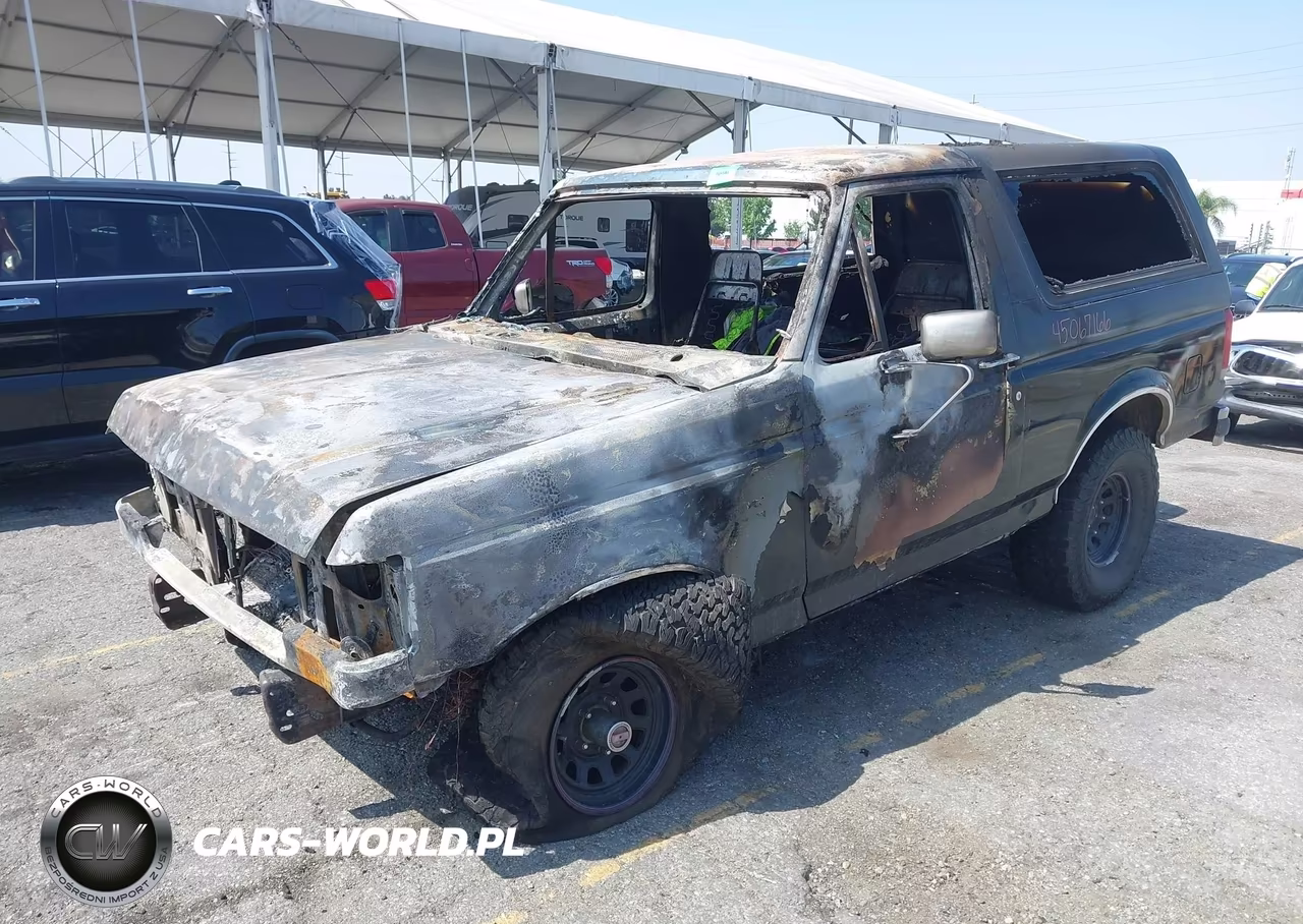 1987 Ford Bronco U100 VIN:1FMEU15N7HLA55183 - 2