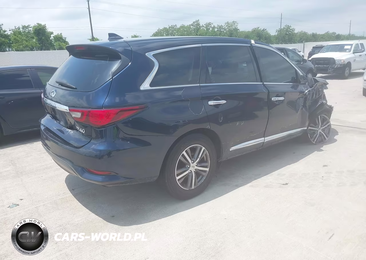2020 Infiniti Qx60 Pure VIN:5N1DL0MN1LC533830 - 4