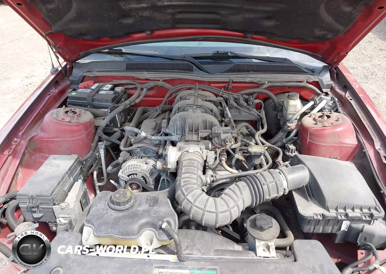 2009 Ford Mustang V6-V6 Premium VIN:1ZVHT84N795133995 - 10