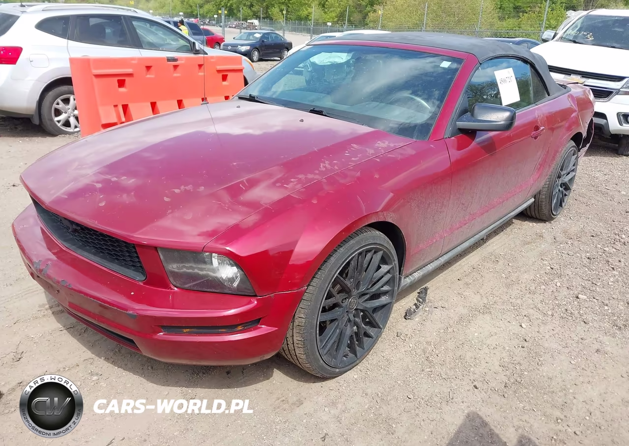 2009 Ford Mustang V6-V6 Premium VIN:1ZVHT84N795133995 - 2