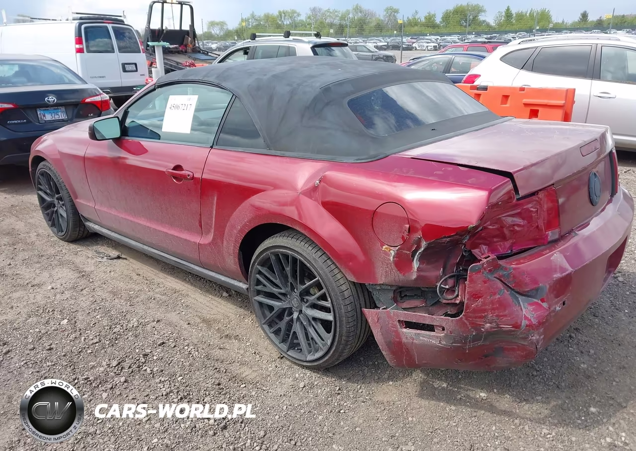 2009 Ford Mustang V6-V6 Premium VIN:1ZVHT84N795133995 - 3