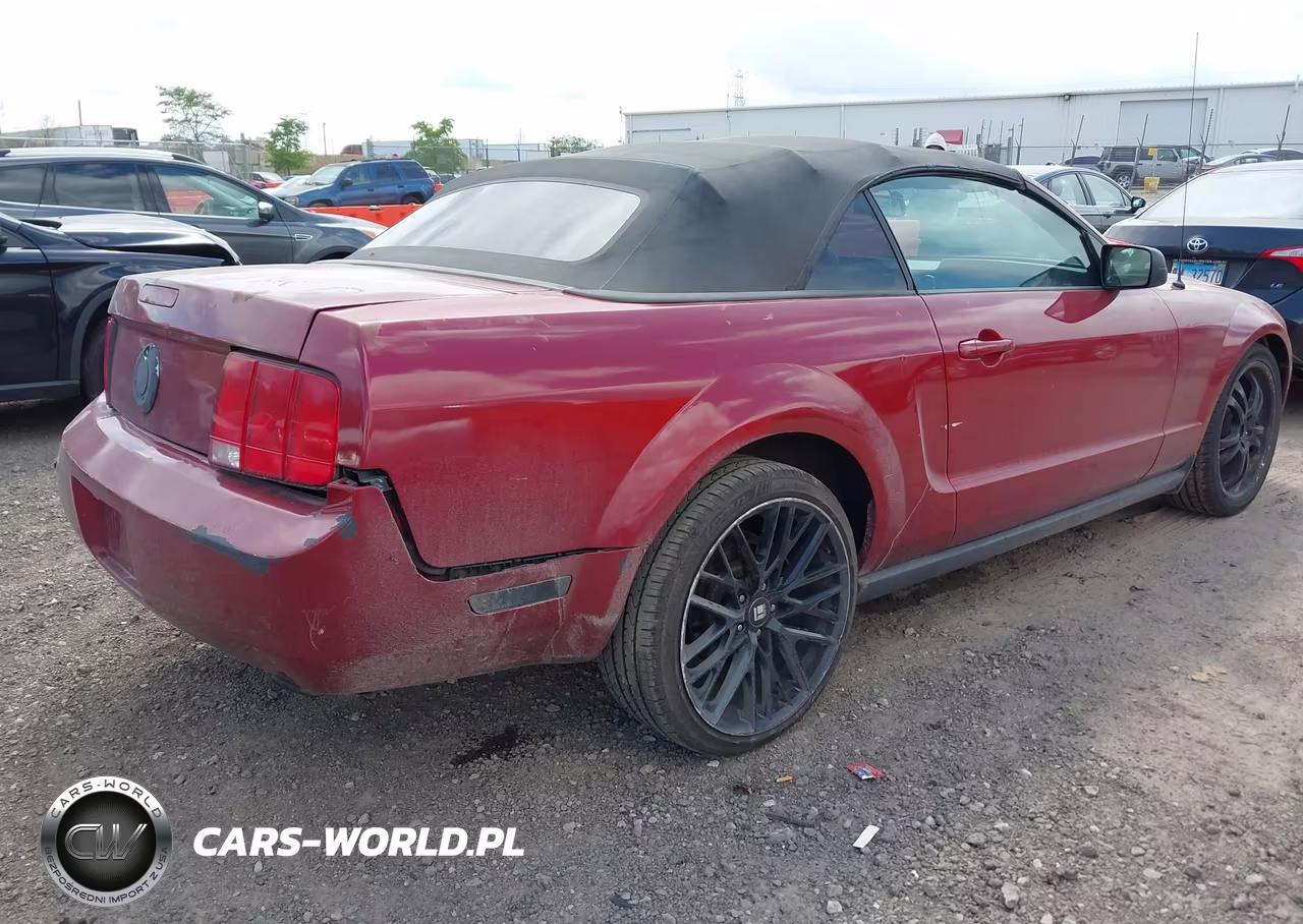 2009 Ford Mustang V6-V6 Premium VIN:1ZVHT84N795133995 - 4