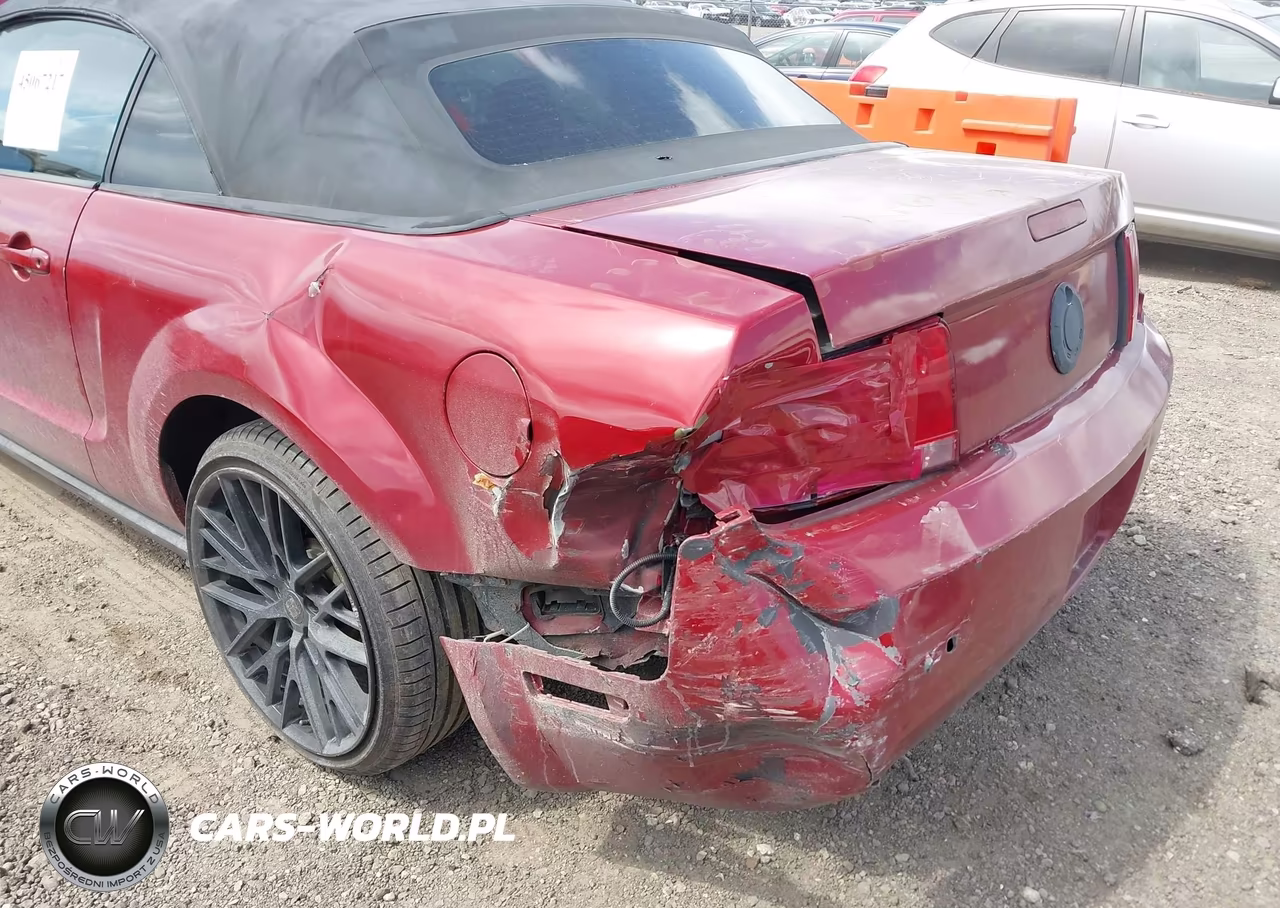 2009 Ford Mustang V6-V6 Premium VIN:1ZVHT84N795133995 - 6