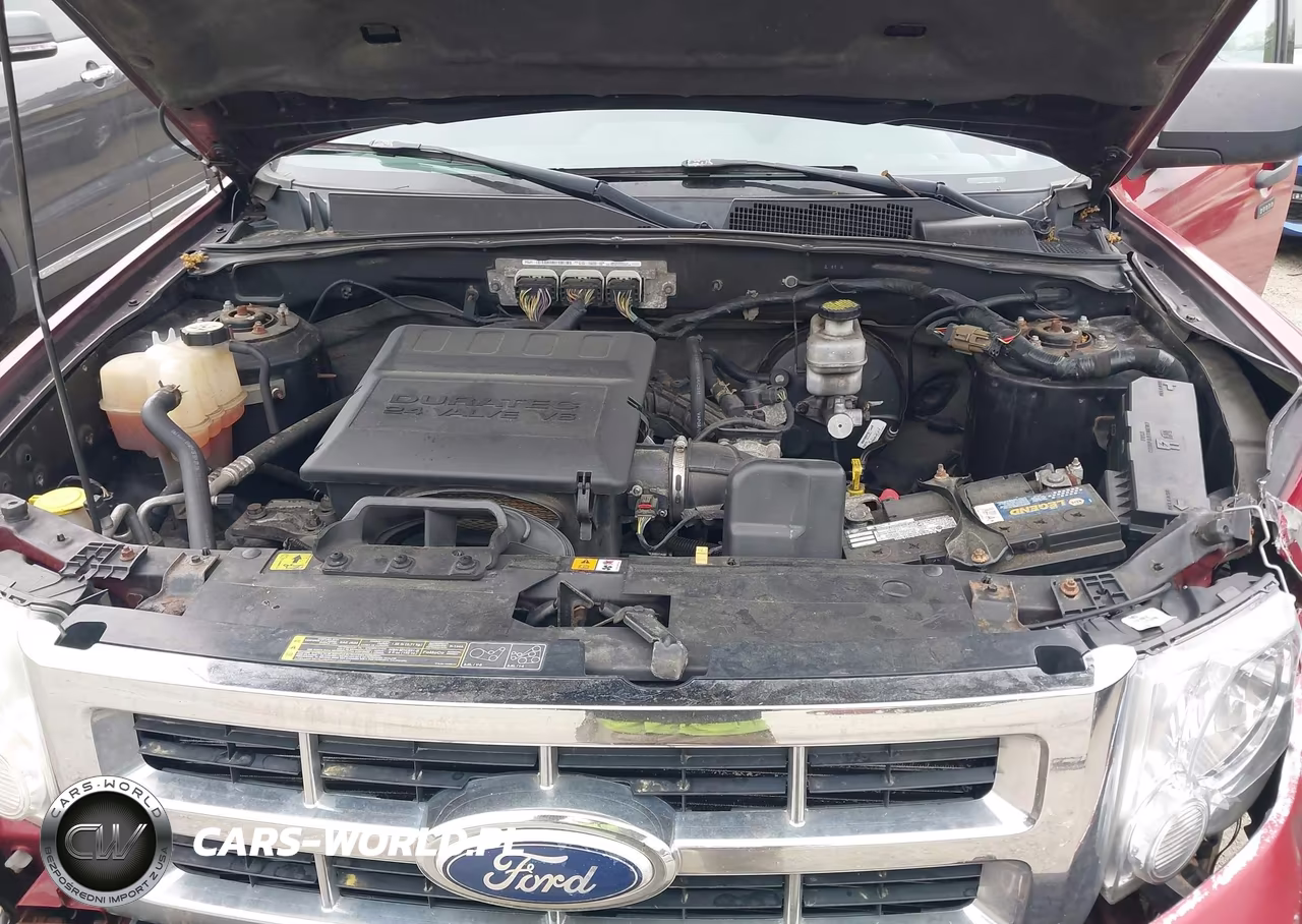 2011 Ford Escape Xlt VIN:1FMCU9DG9BKB63021 - 10