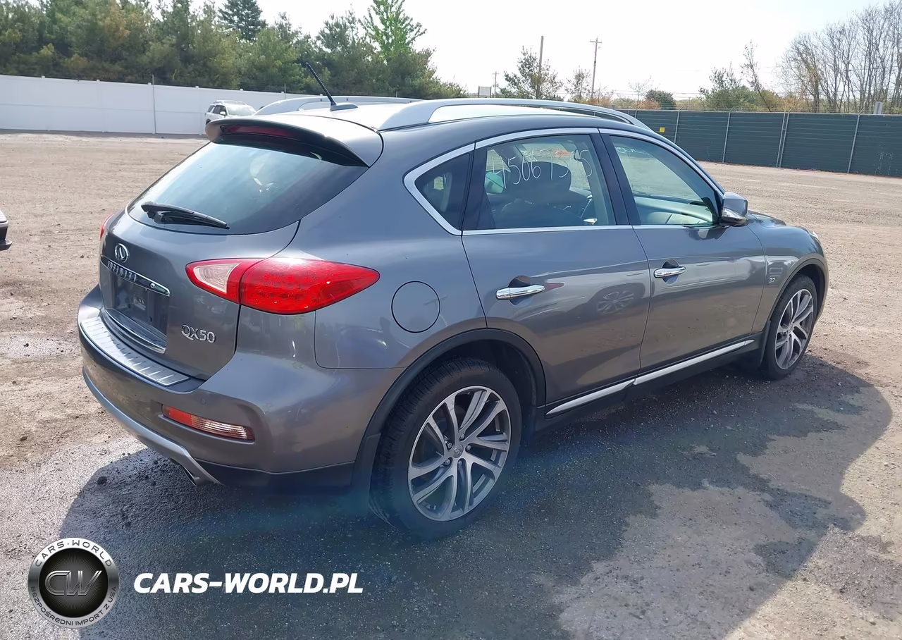 2016 Infiniti Qx50 VIN:JN1BJ0RR3GM269588 - 4