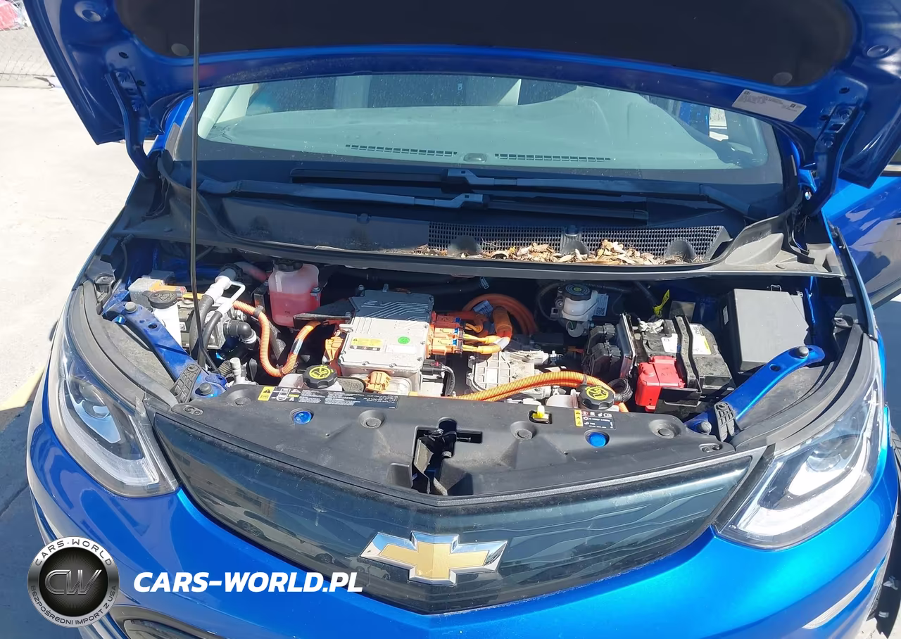 2019 Chevrolet Bolt Ev Lt VIN:1G1FY6S08K4104629 - 10