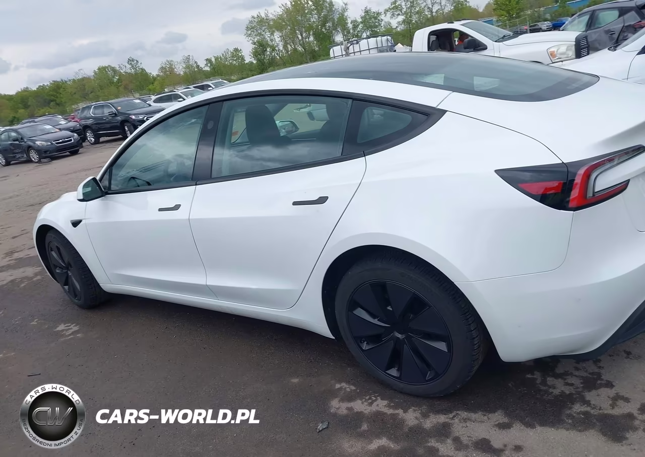 2025 Tesla Model 3 Long Range All-Wheel Drive VIN:5YJ3E1EB9SF061060 - 14