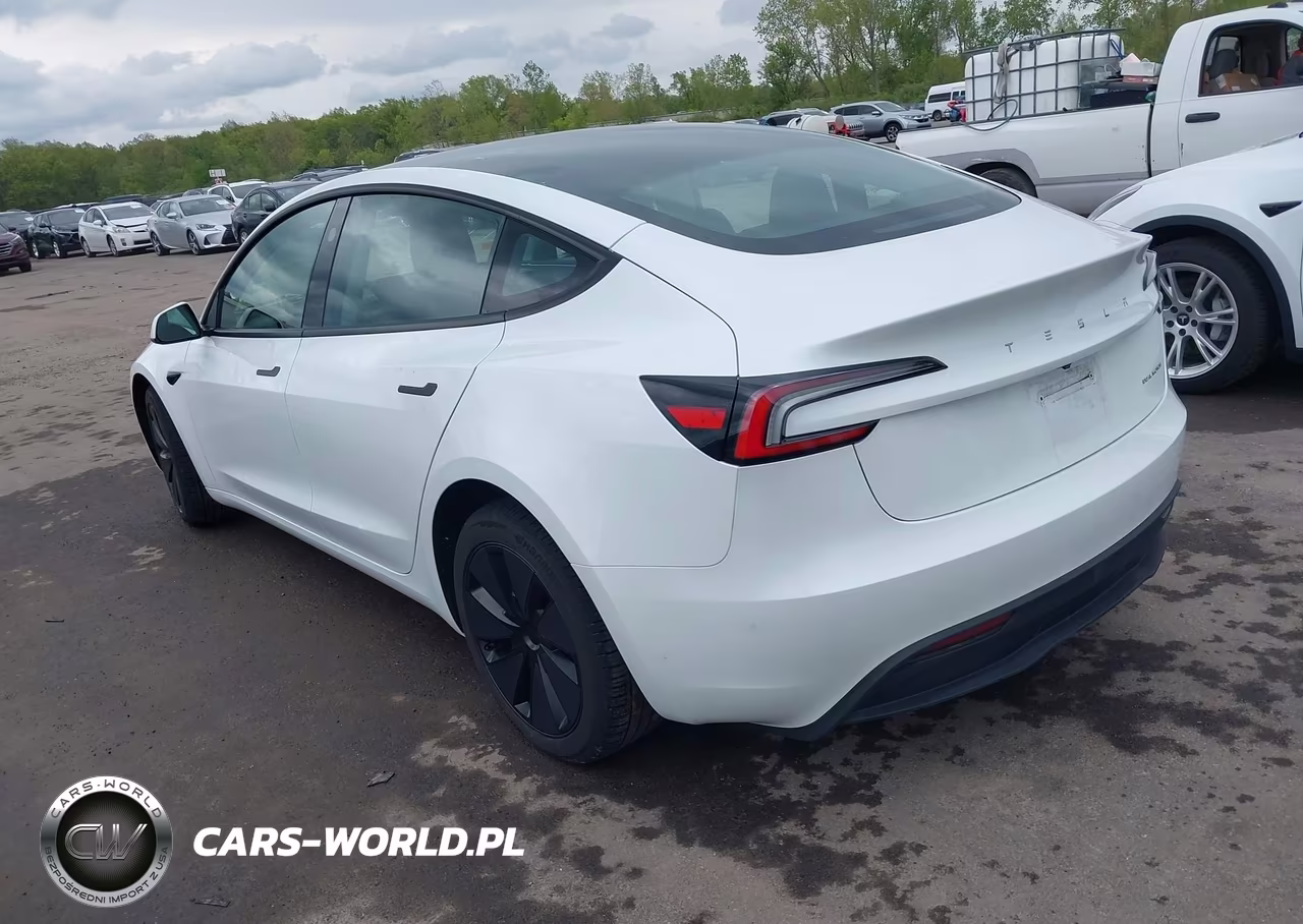 2025 Tesla Model 3 Long Range All-Wheel Drive VIN:5YJ3E1EB9SF061060 - 3
