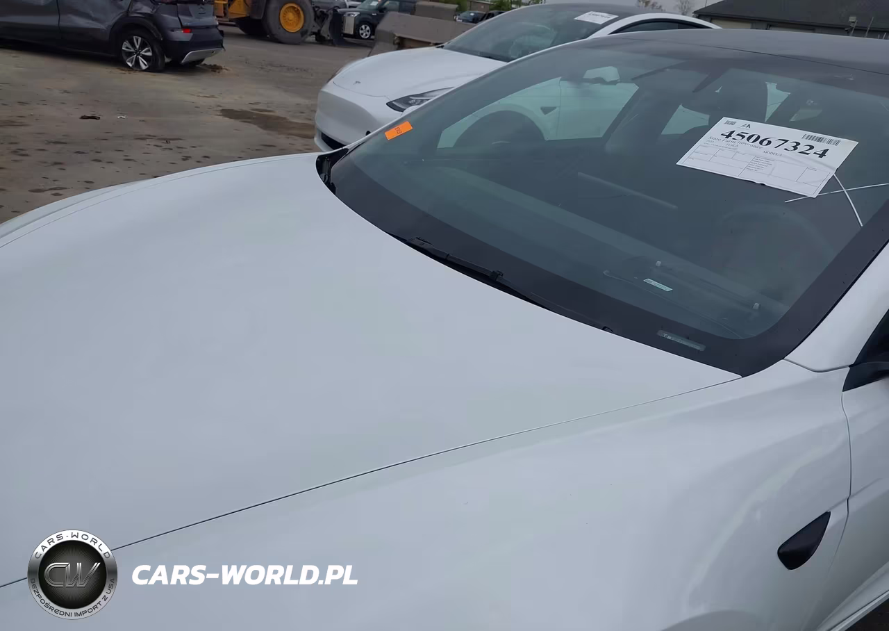 2025 Tesla Model 3 Long Range All-Wheel Drive VIN:5YJ3E1EB9SF061060 - 6