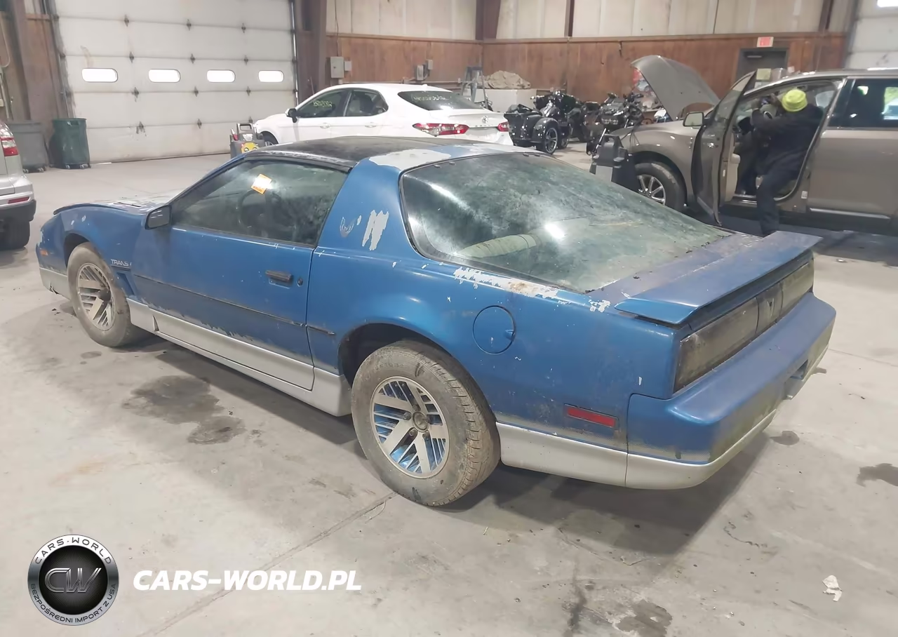 1985 Pontiac Firebird Trans Am VIN:1G2FW87F3FN237650 - 3
