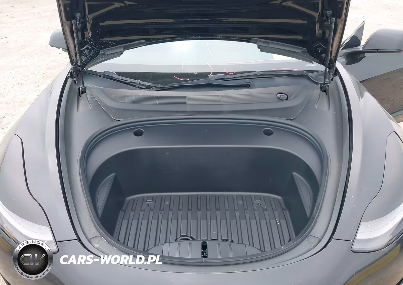 2021 Tesla Model 3 Standard Range Plus Rear-Wheel Drive VIN:5YJ3E1EA4MF095109 - 10
