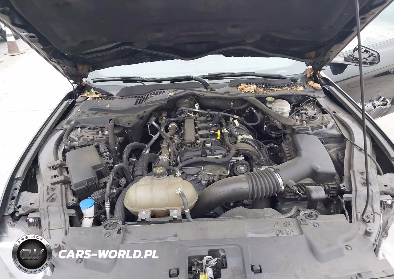 2021 Ford Mustang Ecoboost Premium VIN:1FATP8UH6M5121024 - 10