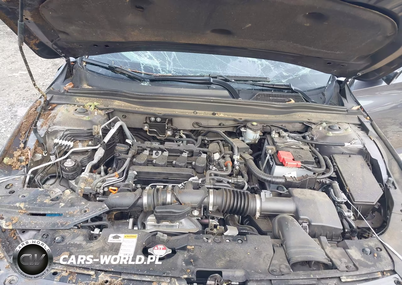 2021 Honda Accord Lx VIN:1HGCV1F14MA024243 - 10