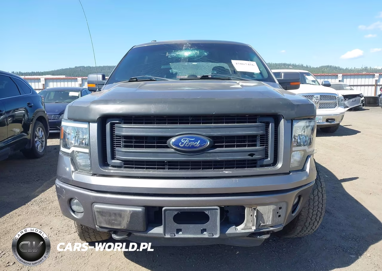 2013 Ford F-150 Fx4 VIN:1FTFW1EF0DKE84659 - 12