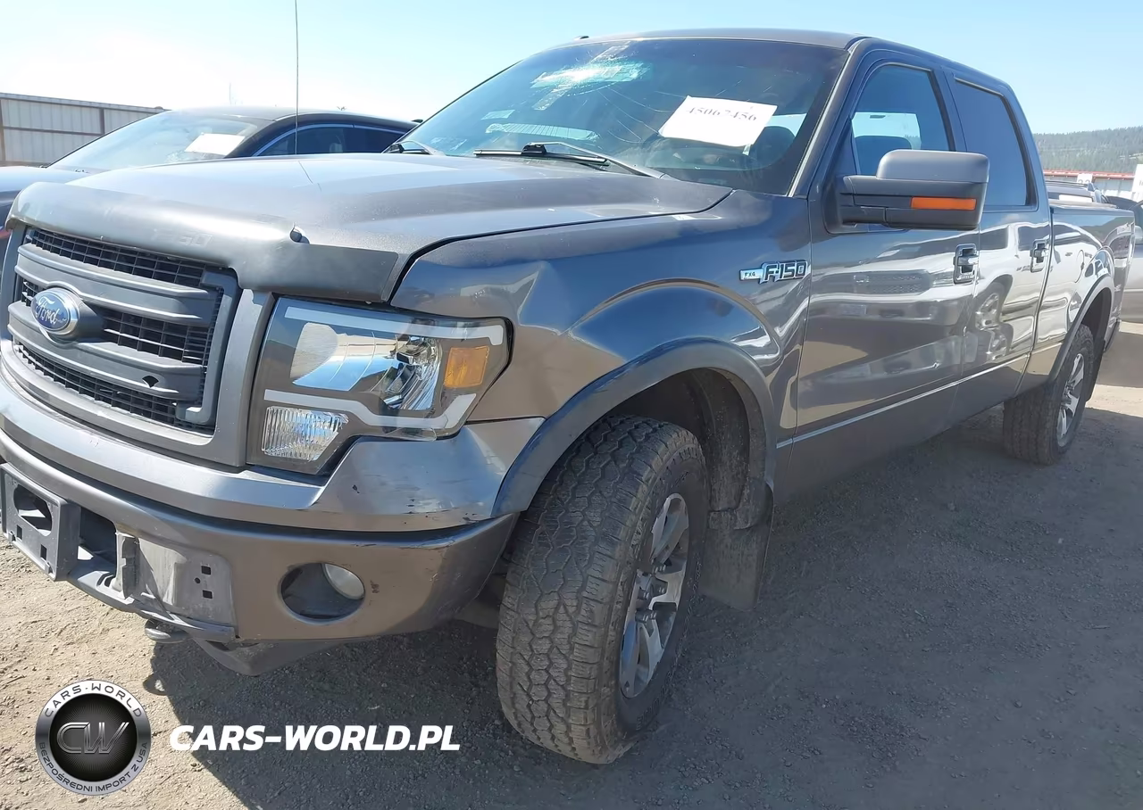2013 Ford F-150 Fx4 VIN:1FTFW1EF0DKE84659 - 17