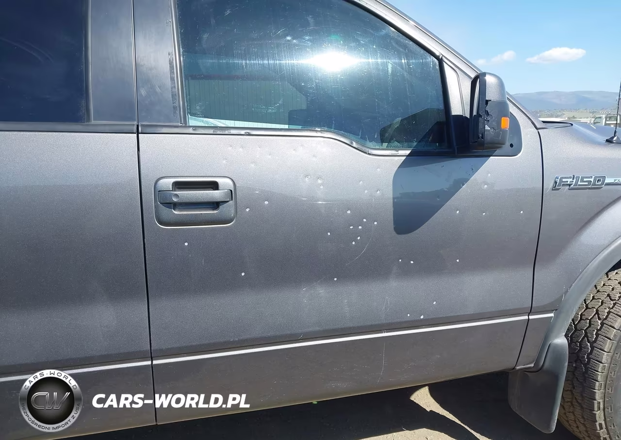 2013 Ford F-150 Fx4 VIN:1FTFW1EF0DKE84659 - 19