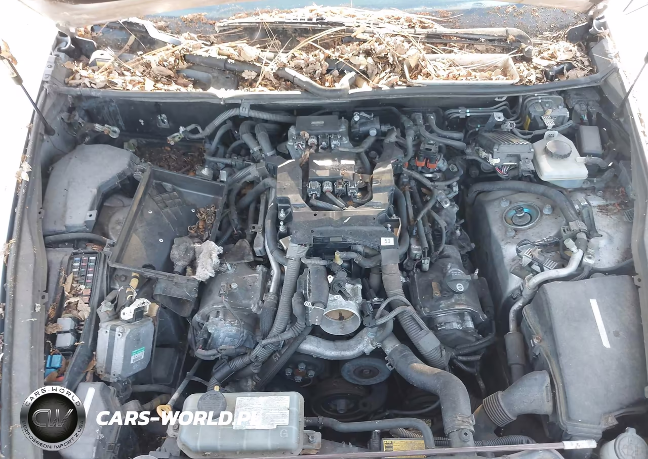 2008 Lexus Ls 460 VIN:JTHBL46F485077096 - 10