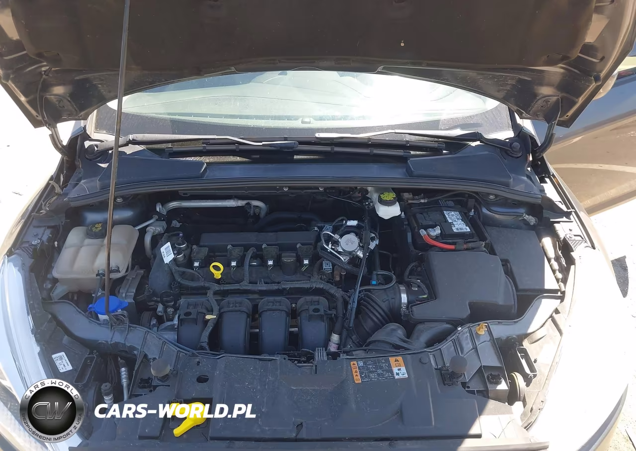 2018 Ford Focus Se VIN:1FADP3K23JL297655 - 10
