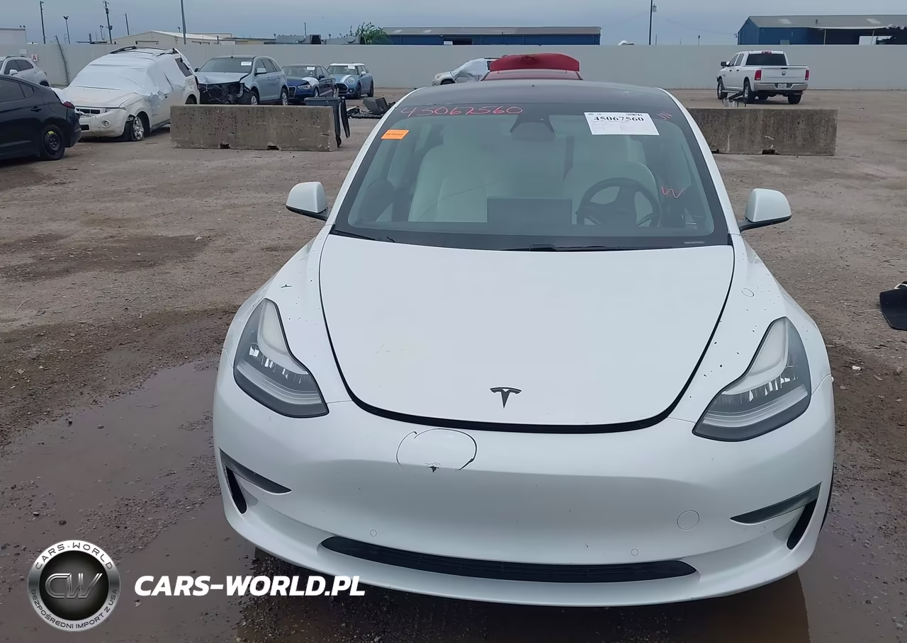 2019 Tesla Model 3 Long Range-Mid Range-Standard Range-Standard Range Plus VIN:5YJ3E1EA4KF332520 - 12