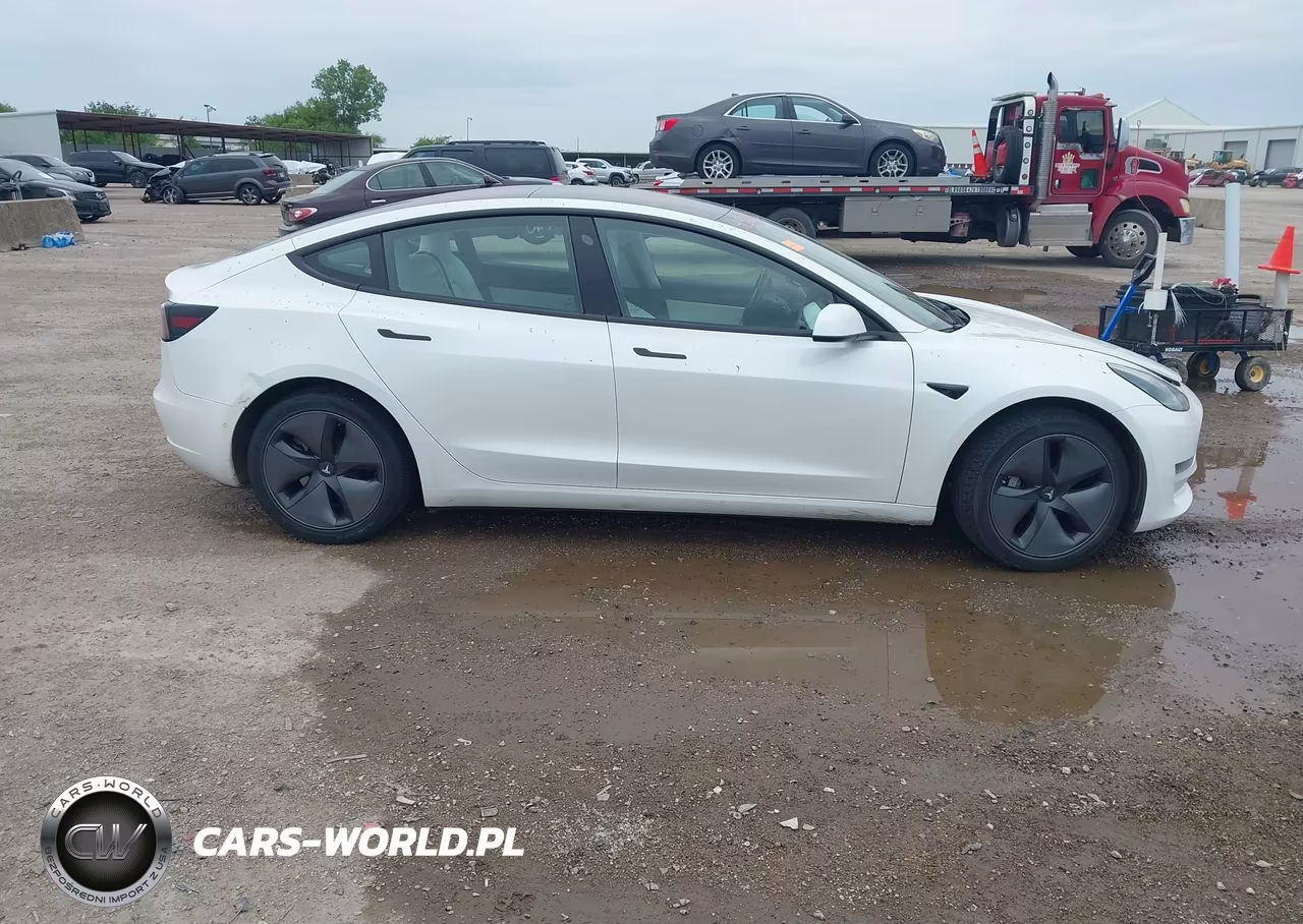 2019 Tesla Model 3 Long Range-Mid Range-Standard Range-Standard Range Plus VIN:5YJ3E1EA4KF332520 - 13