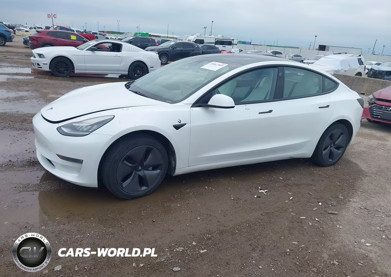 2019 Tesla Model 3 Long Range-Mid Range-Standard Range-Standard Range Plus VIN:5YJ3E1EA4KF332520 - 14