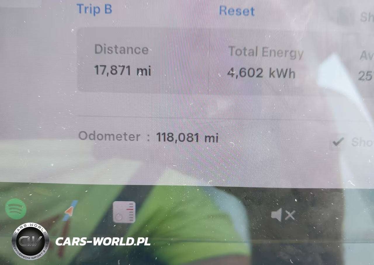2019 Tesla Model 3 Long Range-Mid Range-Standard Range-Standard Range Plus VIN:5YJ3E1EA4KF332520 - 15