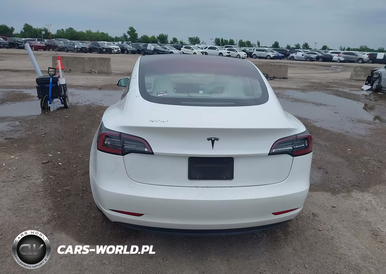 2019 Tesla Model 3 Long Range-Mid Range-Standard Range-Standard Range Plus VIN:5YJ3E1EA4KF332520 - 16