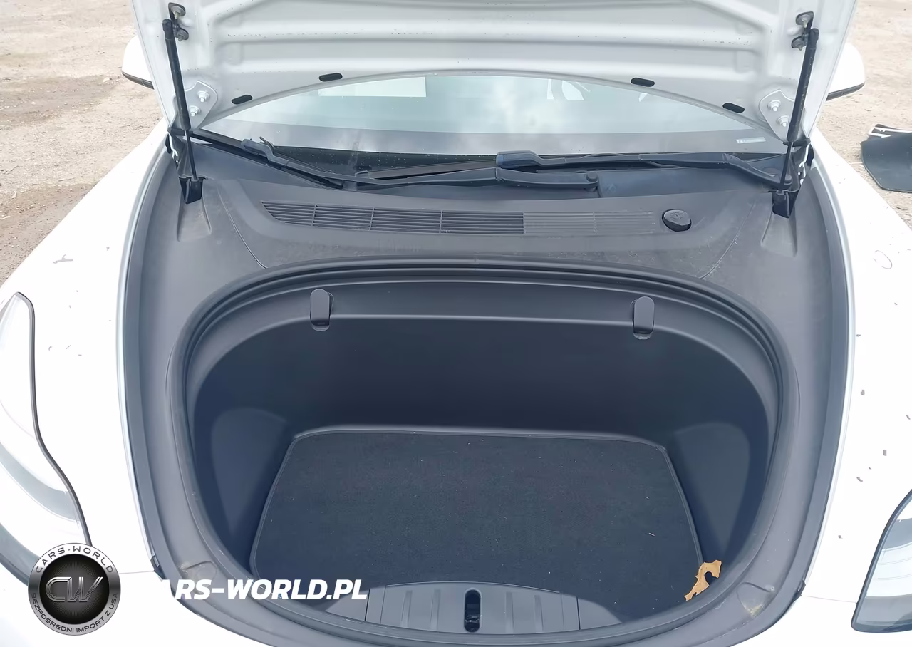 2019 Tesla Model 3 Long Range-Mid Range-Standard Range-Standard Range Plus VIN:5YJ3E1EA4KF332520 - 17
