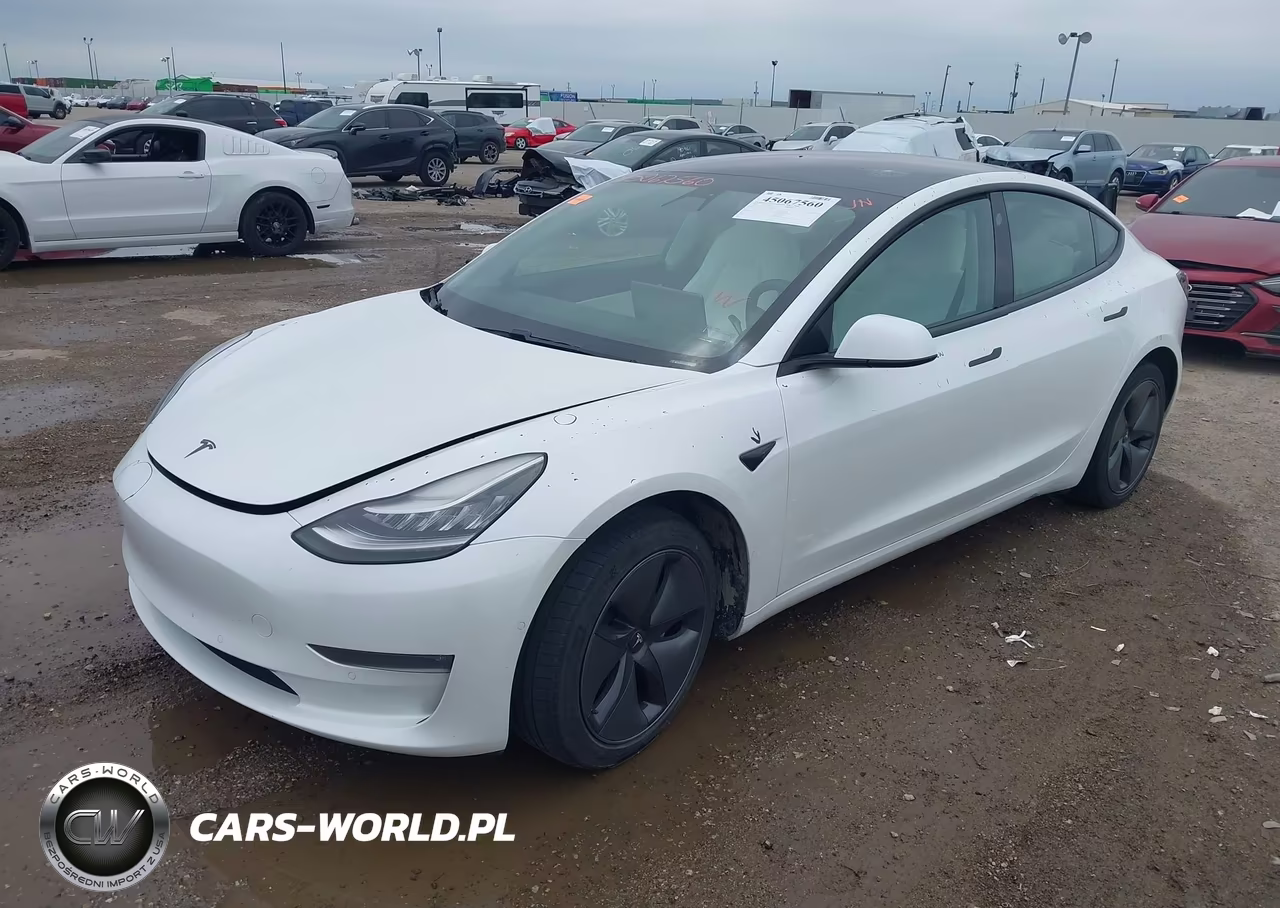 2019 Tesla Model 3 Long Range-Mid Range-Standard Range-Standard Range Plus VIN:5YJ3E1EA4KF332520 - 2