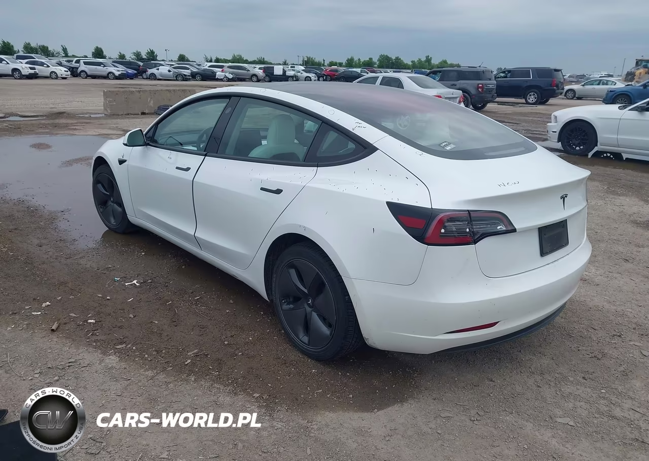 2019 Tesla Model 3 Long Range-Mid Range-Standard Range-Standard Range Plus VIN:5YJ3E1EA4KF332520 - 3