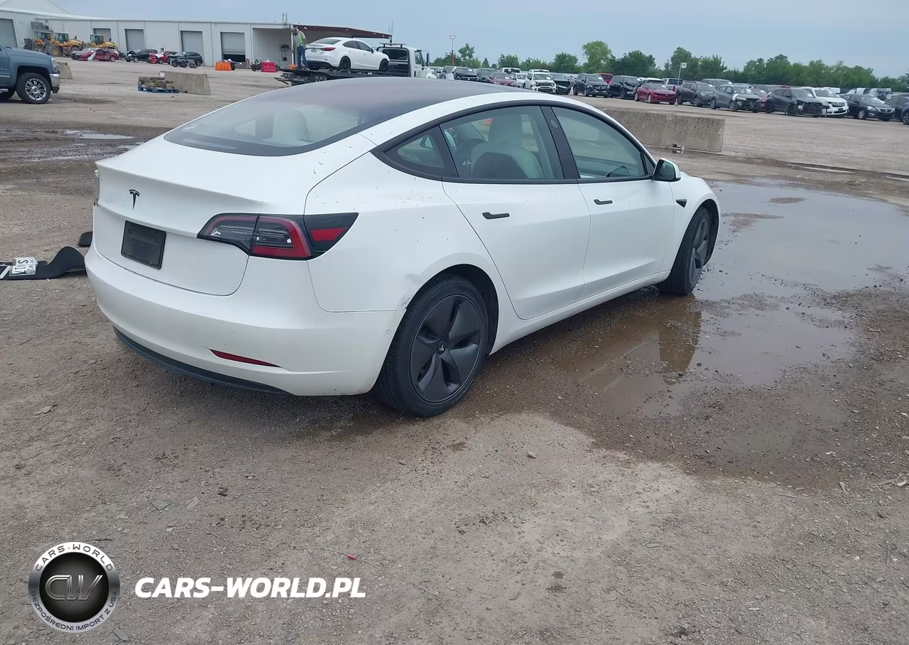 2019 Tesla Model 3 Long Range-Mid Range-Standard Range-Standard Range Plus VIN:5YJ3E1EA4KF332520 - 4