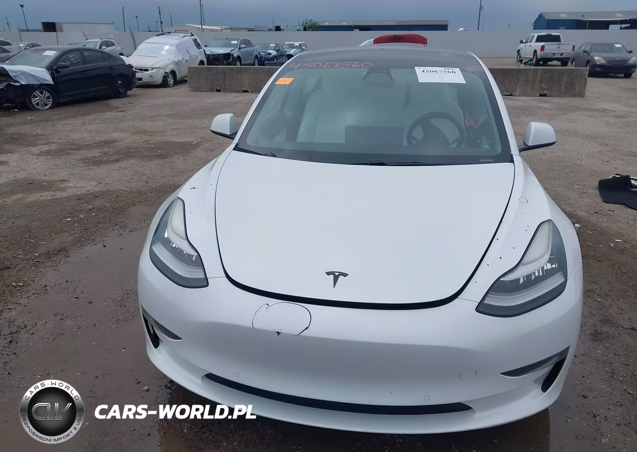 2019 Tesla Model 3 Long Range-Mid Range-Standard Range-Standard Range Plus VIN:5YJ3E1EA4KF332520 - 6