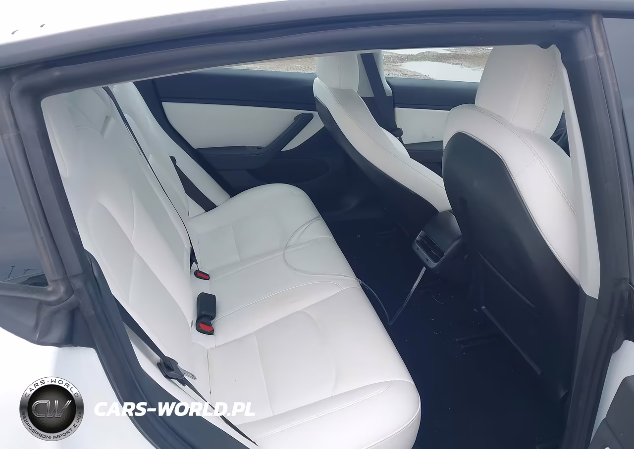2019 Tesla Model 3 Long Range-Mid Range-Standard Range-Standard Range Plus VIN:5YJ3E1EA4KF332520 - 8