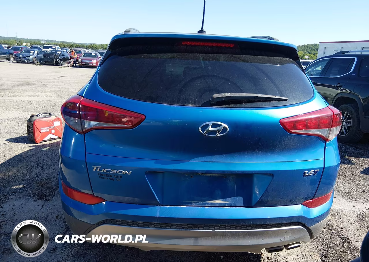 2017 Hyundai Tucson Night VIN:KM8J33A21HU456652 - 17