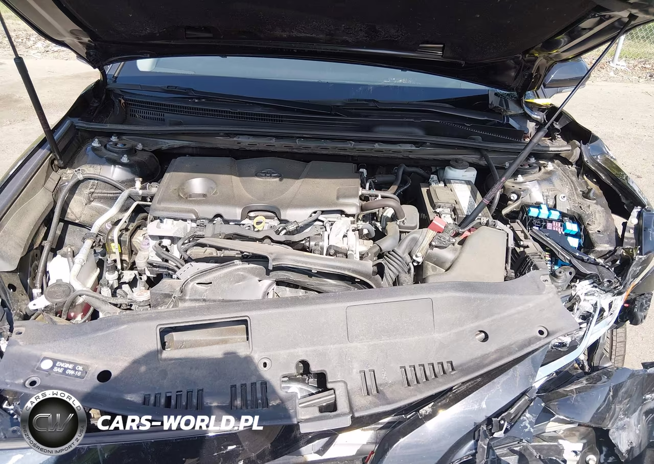 2019 Toyota Camry Le VIN:4T1B11HK6KU200230 - 10