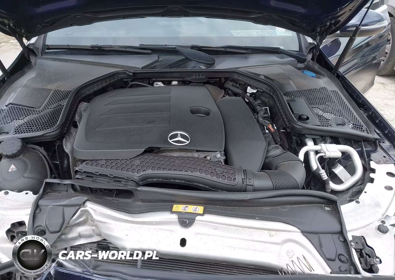 2019 Mercedes-Benz C 300 4Matic VIN:55SWF8EB4KU290828 - 10